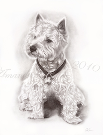 Bailey